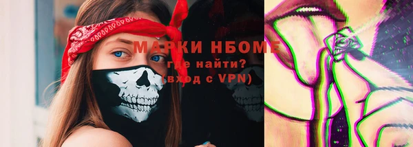стаф Пересвет