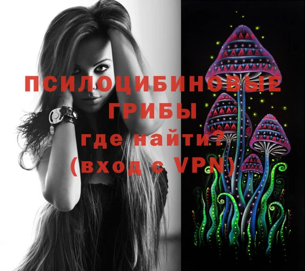 трава Переславль-Залесский