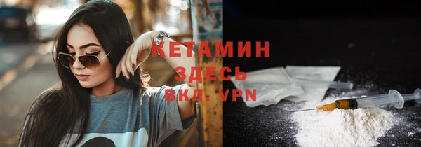 стаф Пересвет