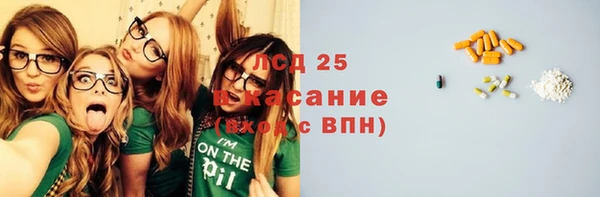 стаф Пересвет