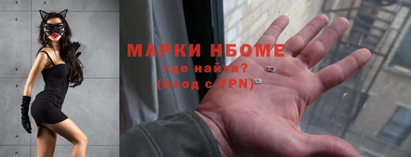 стаф Пересвет