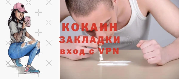 стаф Пересвет