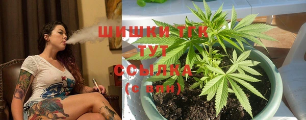 стаф Пересвет
