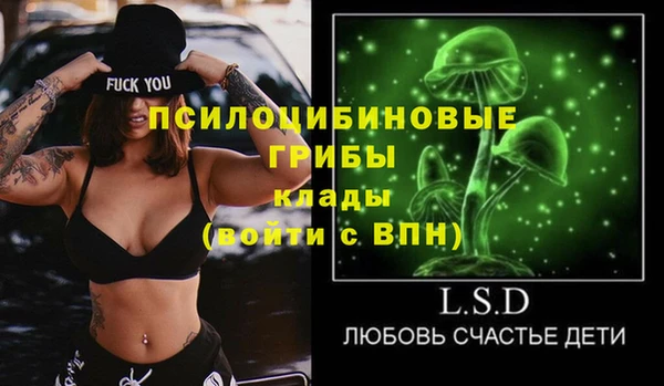 стаф Пересвет